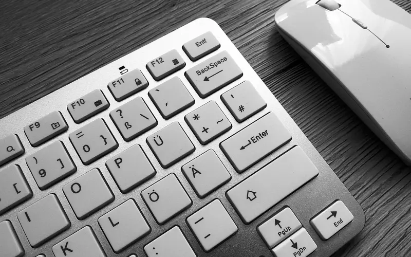 爱情秘籍 | 女人是怎么吸引男人的