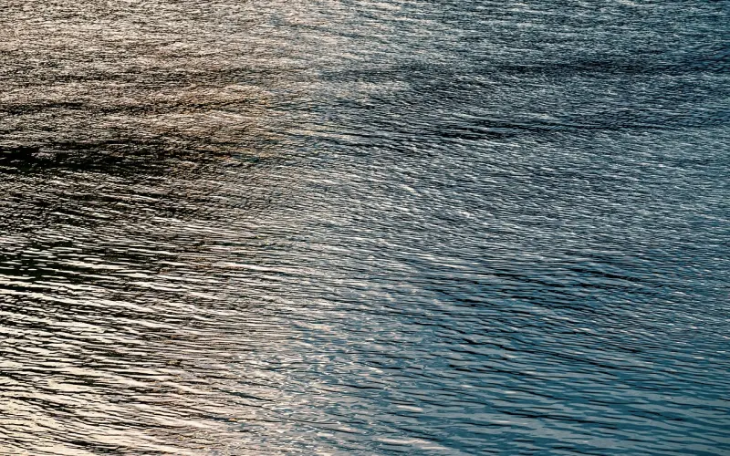 【爱情秘籍】爱情需要重口味