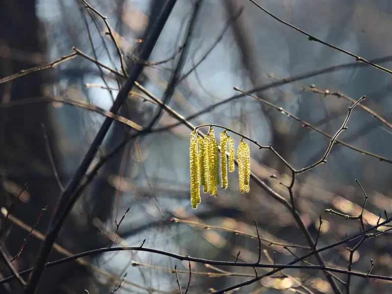 爱应该是发自内心的