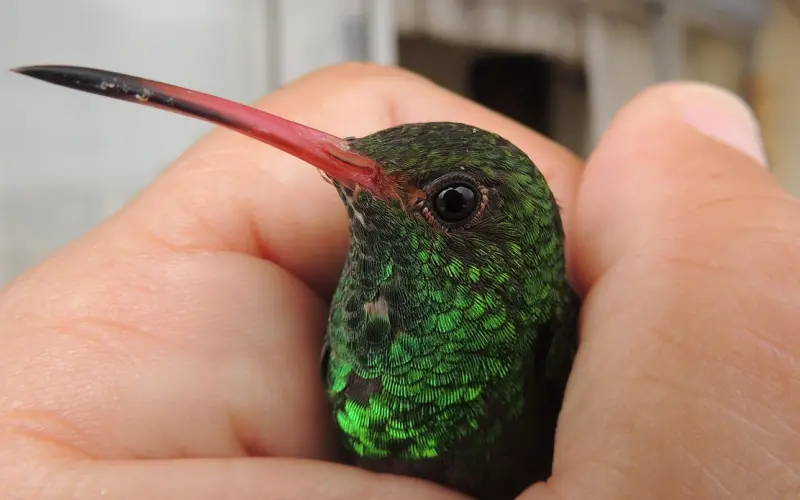 爱情有时向左，有时向右，但总会重逢【内含福利】