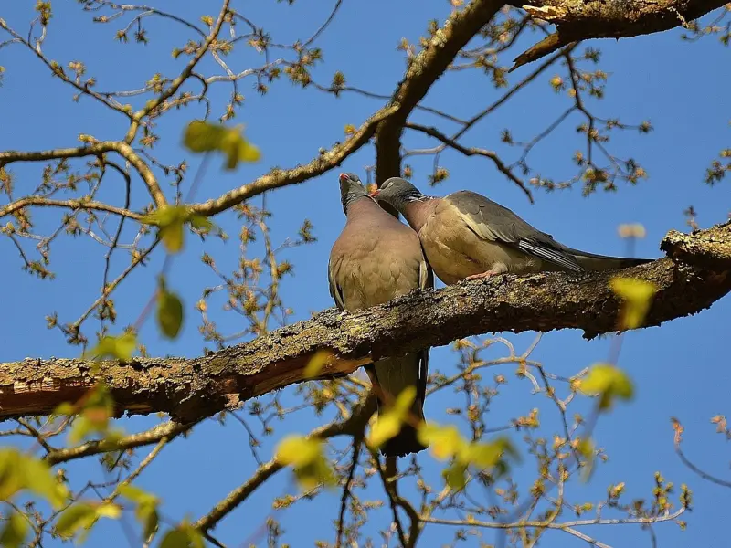 【爱の物语】女孩别富养