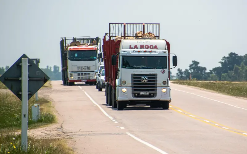 【爱情测试】测测五一节前你能遇到真爱吗？