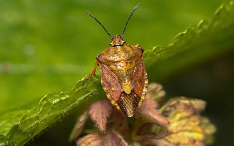 能长久的爱情，都带有点瑕疵