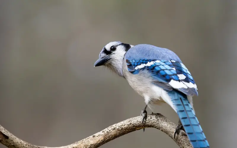 【恋爱秘籍】5大约会细节看他是否对你有意