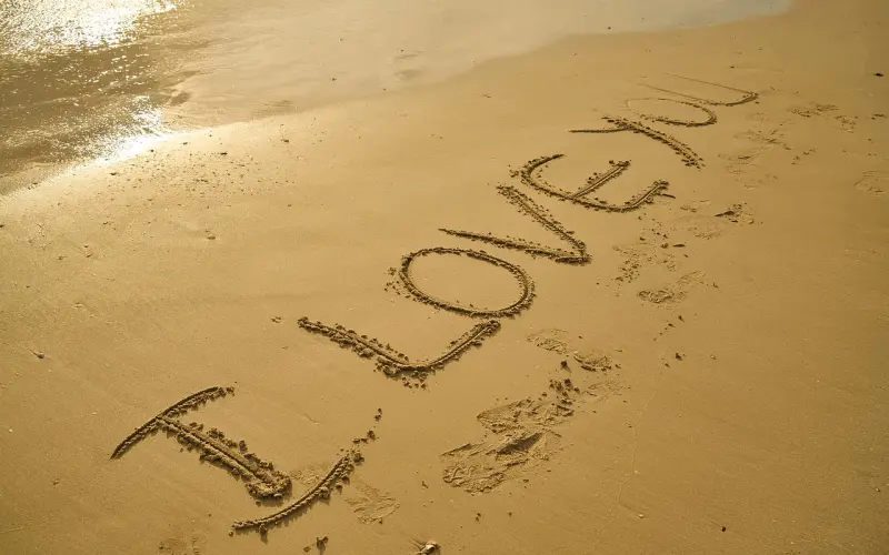 走过四季来爱你