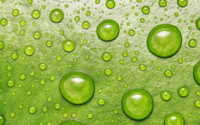 恋人因为缺乏新鲜感而分手，该如何挽回爱情？