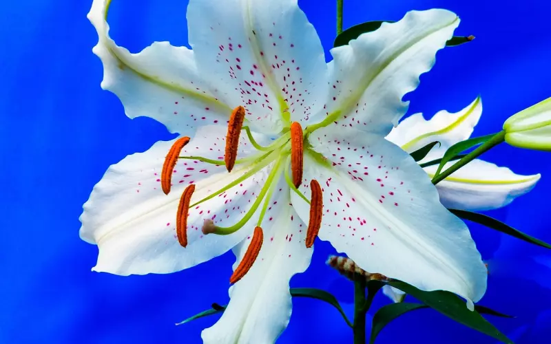 已经分手的恋人，做到了这三点，据说他们的挽回都成功了