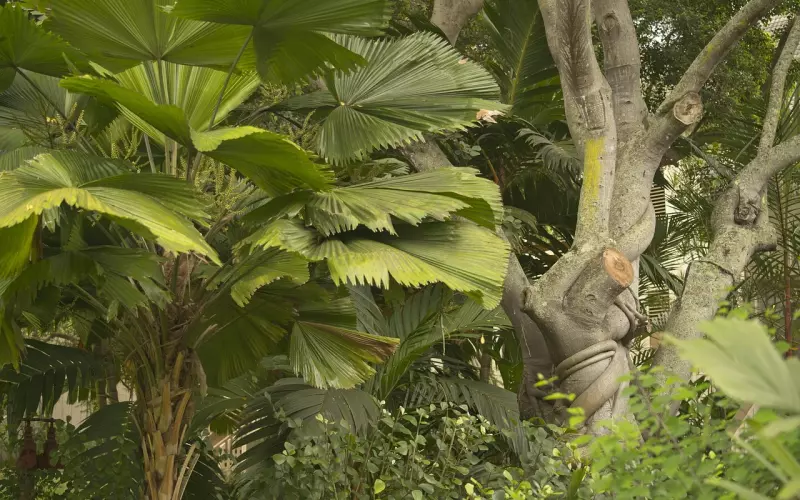 拉低自己的姿态，就是变相扼杀爱情