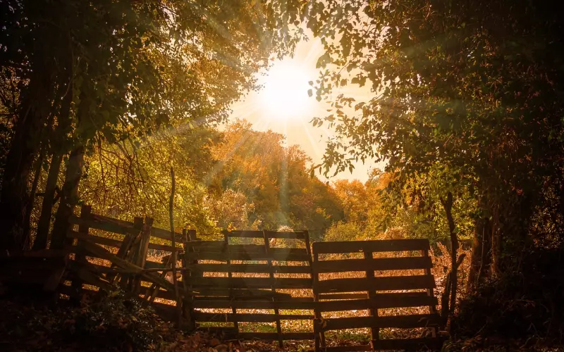 龙婆托心咒分享