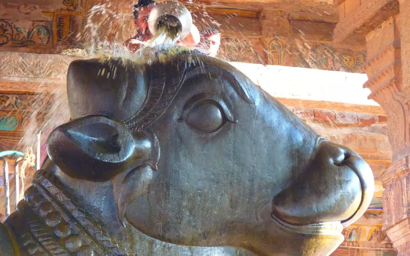 Luang Phor Chanan龙婆禅南一庙瓦邦古迪通 佛历2546一期光辉崇迪