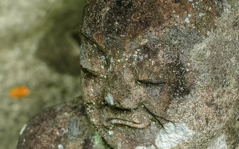 近代三大圣僧之伏虎罗汉Luang Phor Pern龙婆本