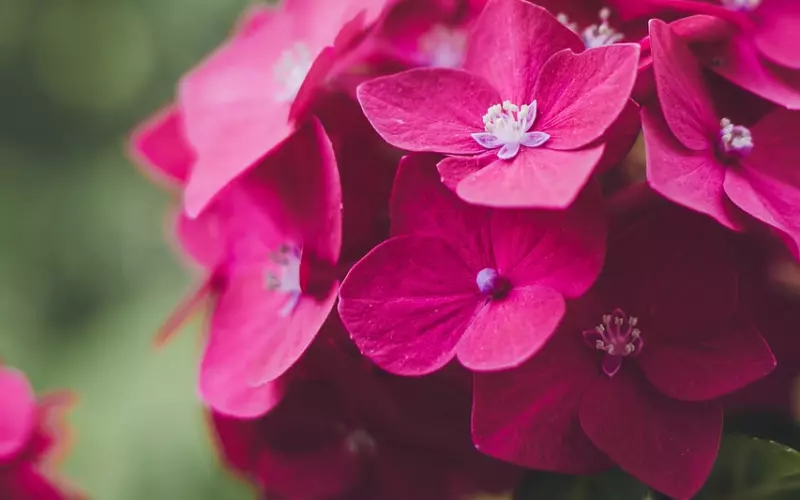 维系好婚姻其实很简单，就两点，但又有多少人能做到