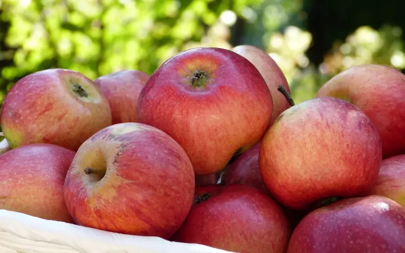 维持长期关系：教你如何防止女友有异心