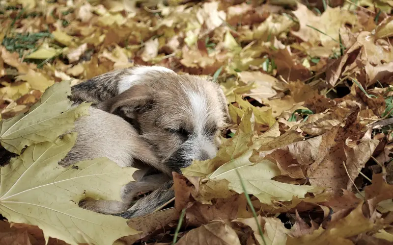 交这样的朋友，一生无悔