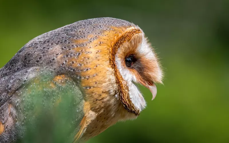 分手后善用这些方法，让男友主动挽回你!
