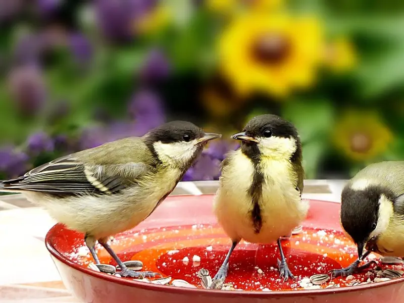 善用三个小技巧，顺利挽回你的爱