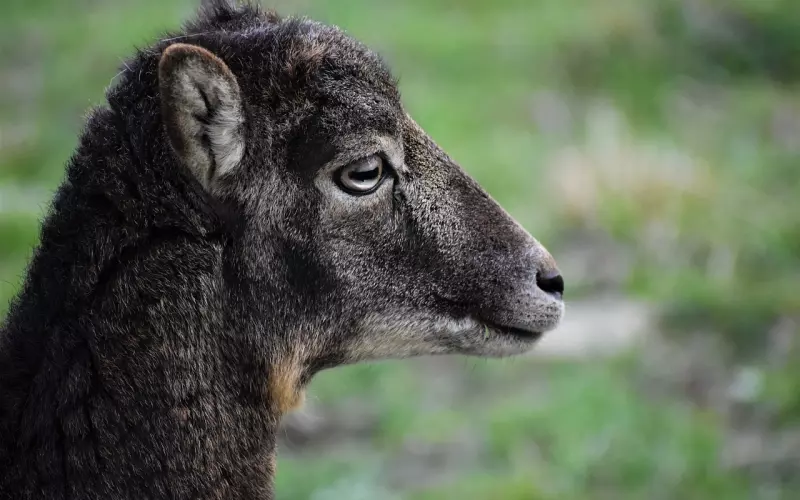 善用这个小妙招，挽回时才不会满盘皆输，前功尽弃