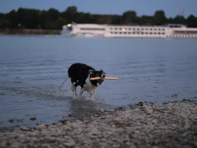 让他重新爱上你，用这个方法最有效