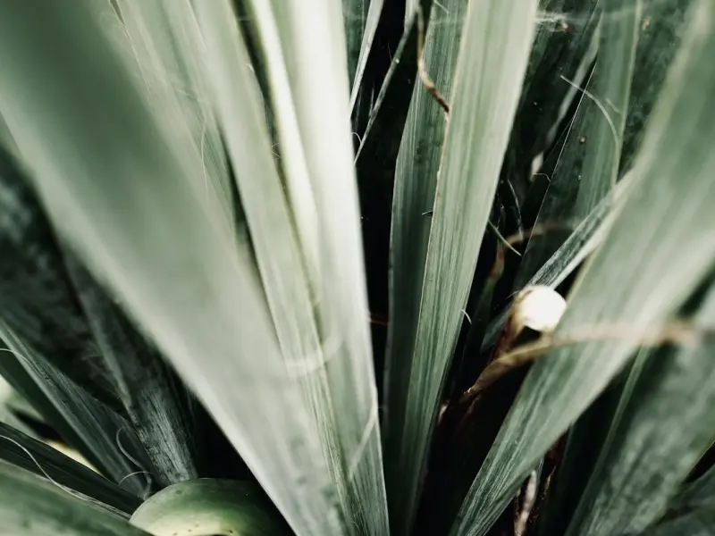 从三方面把你打造成女人眼中的魅力男神