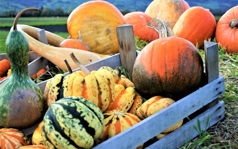 人啊， 糊涂是本事，知足是聪明