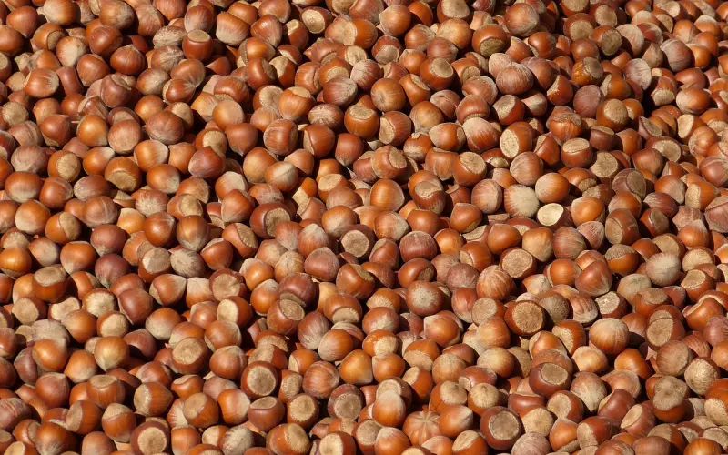 看完《百年孤独》的人很多，读懂这4句话的却没有几个!