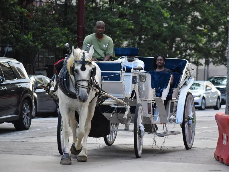 把妹地图|不能说的秘密，朋友圈套路原来有这么深