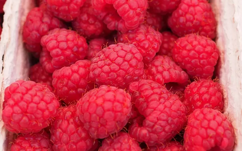 婚姻咨询：过了爱情新鲜期，怀疑老公有外遇倾向