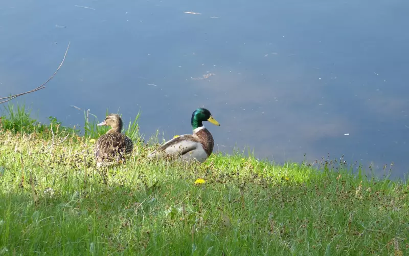 婚姻危机|如何挽回老公