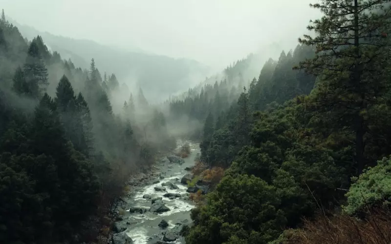 婚姻危机，如何挽回出轨的老公？成功挽回老公的绝招