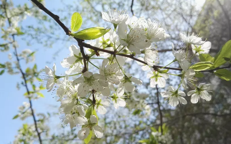 婚姻出了问题？我找彩虹导师开药治好了！