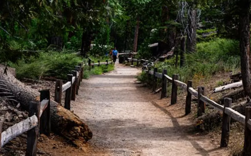 婚姻挽回之怎么挽救自己的婚姻(如何挽留婚姻女人越绝情越好挽回)