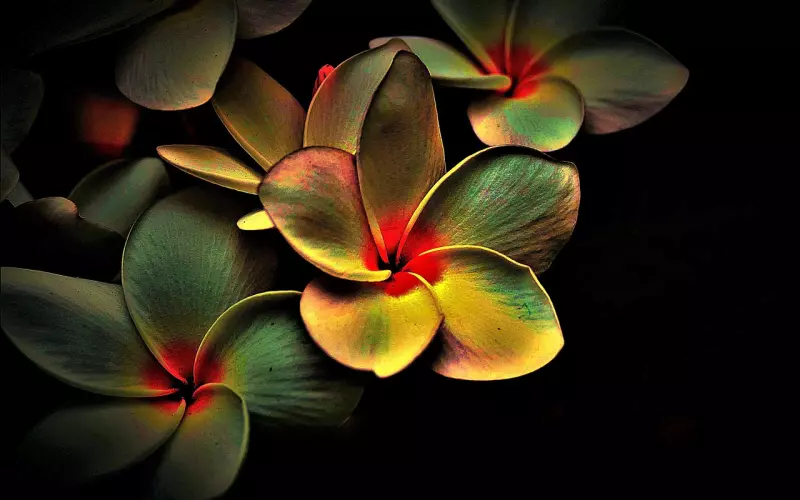 32岁大龄剩女征婚条件(深圳32岁大龄剩女要求高)