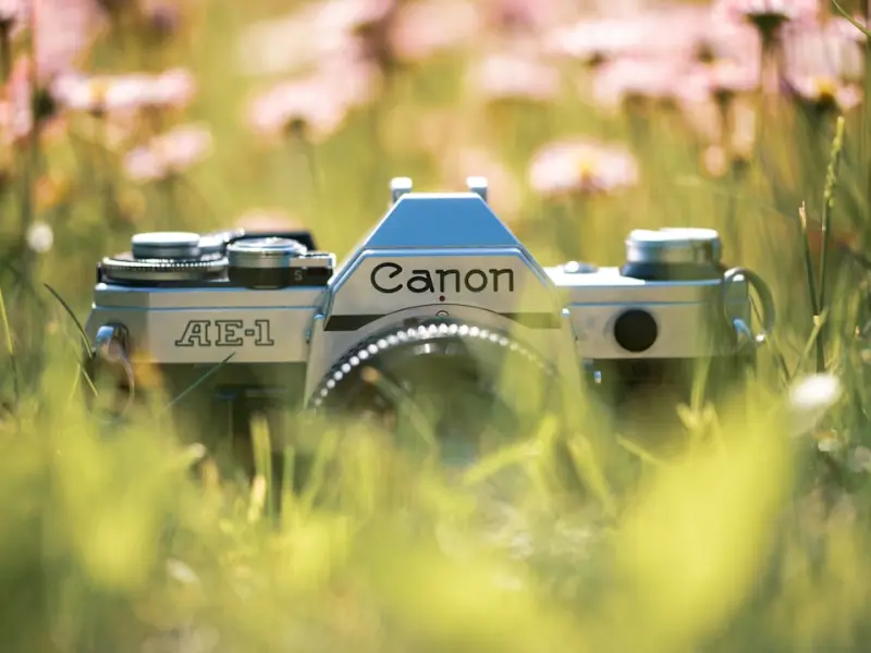 婚姻挽回技巧：如何让丈夫心甘情愿回家？