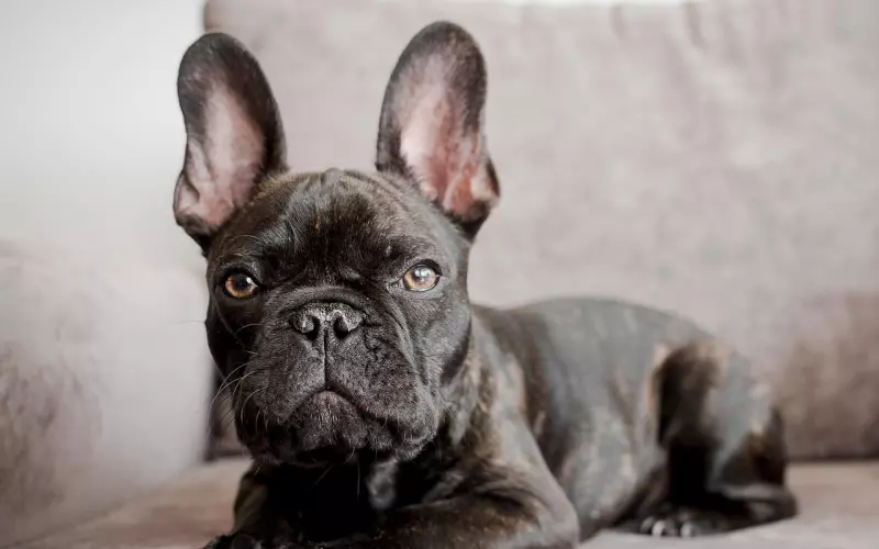 远嫁受欺负？那是你方法不对！