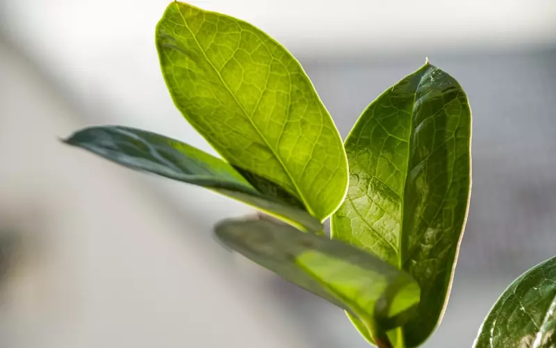 嫁一个愿意为你花钱的男人