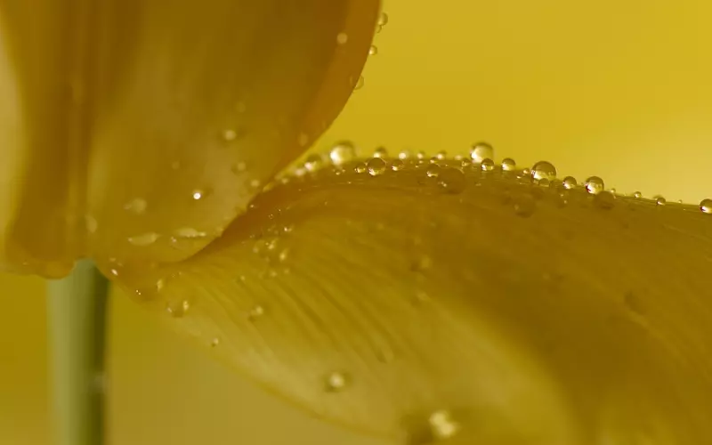 和他闪婚闪离？挽回大师教你如何轻松挽回