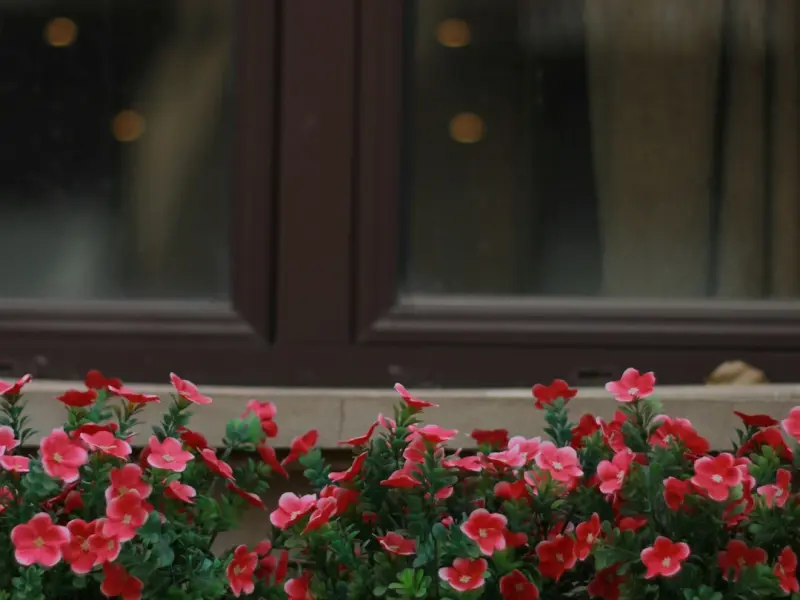 远嫁，多年后你会明白，你失去的是什么…