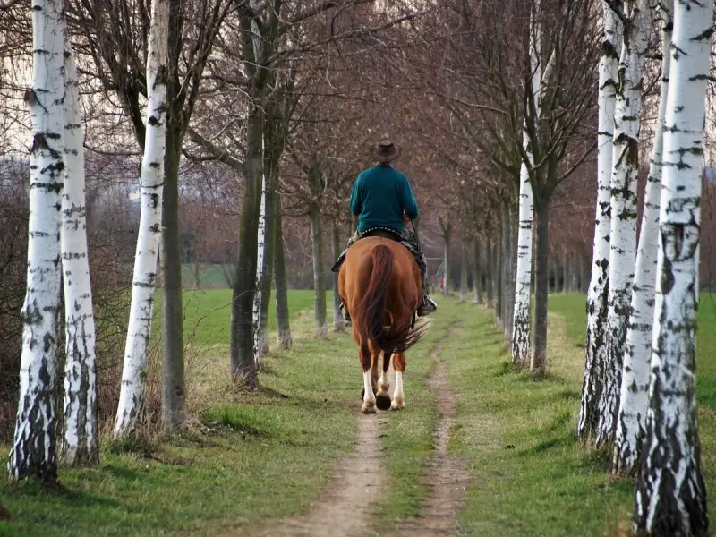 掌握这四点 再决绝的分手也能挽回！