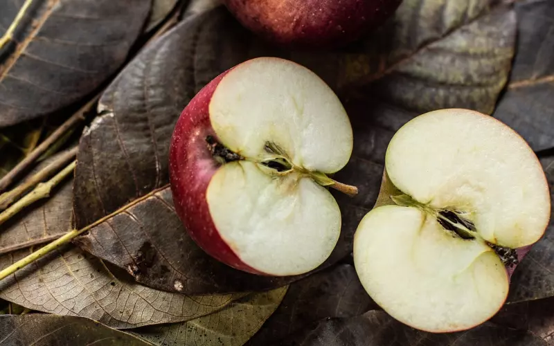 掌握这两点，挽回前任已成功了一半