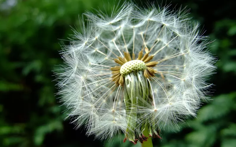 愿每个失恋的姑娘，都被时光温柔以待