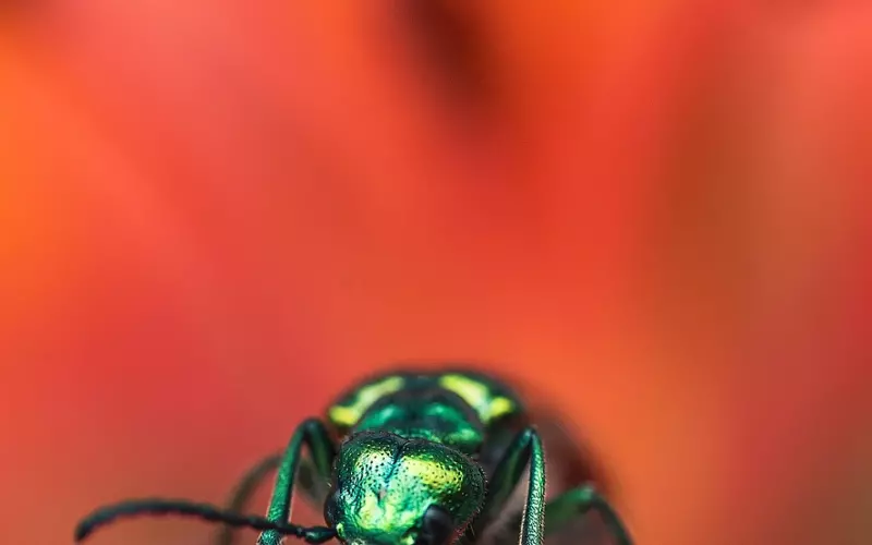 愿那个跟我一起吃KFC的女孩的世界充满彩色，而不是色彩。
