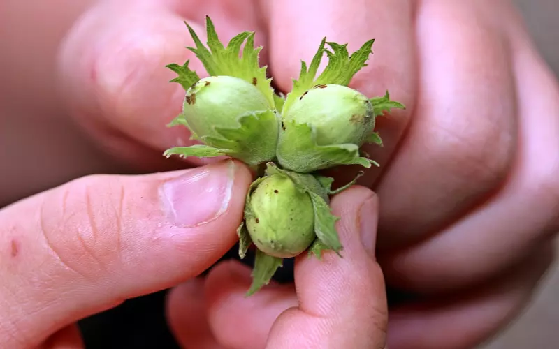 愿有岁月可回首，且以深情共厮守！