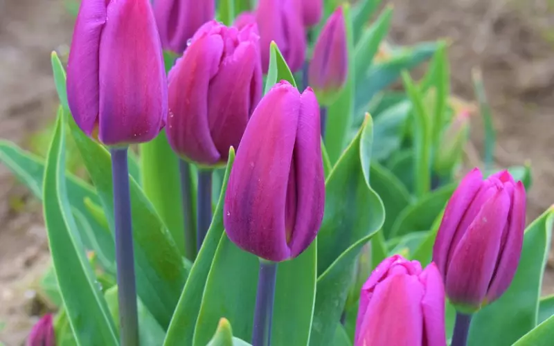 可能我太过追求完美的爱情，总是觉得很失望