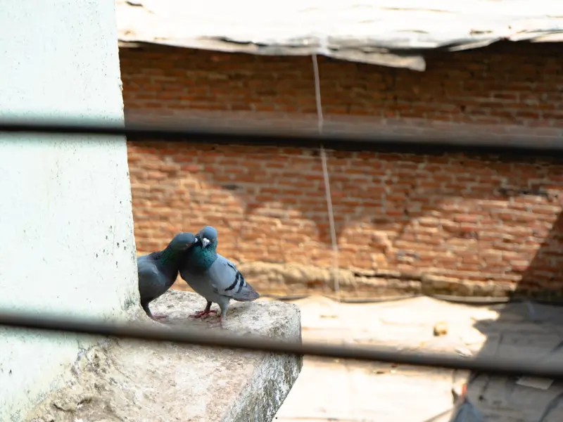 ❤♬ 相遇、相知、相契、相依、相助、相思、相辉、相惜