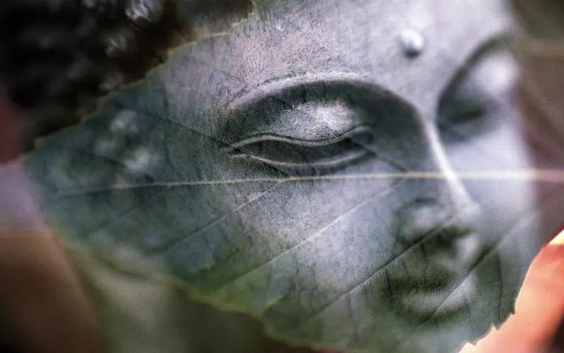 相逢，都是命中注定