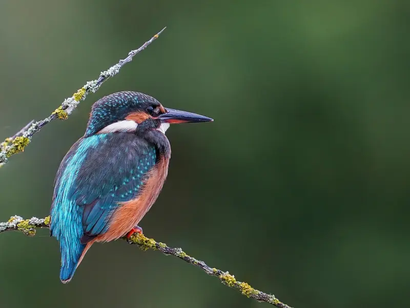 男人心里藏了别人，才会出现这些“不舍”，劝你主动离开