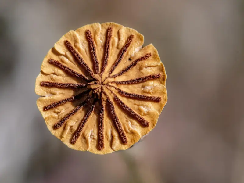 最容易“出轨”的4种女人，男人你可知道？