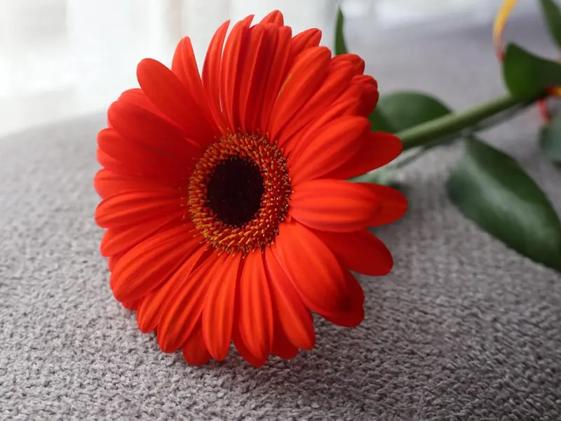 男人喜欢你，却舍不得为你花钱，往往是出于这些原因