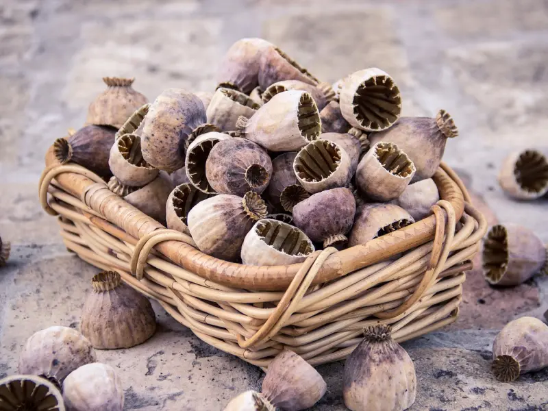 玩弄感情的男人，一定有这三种表现，尤其是第一种