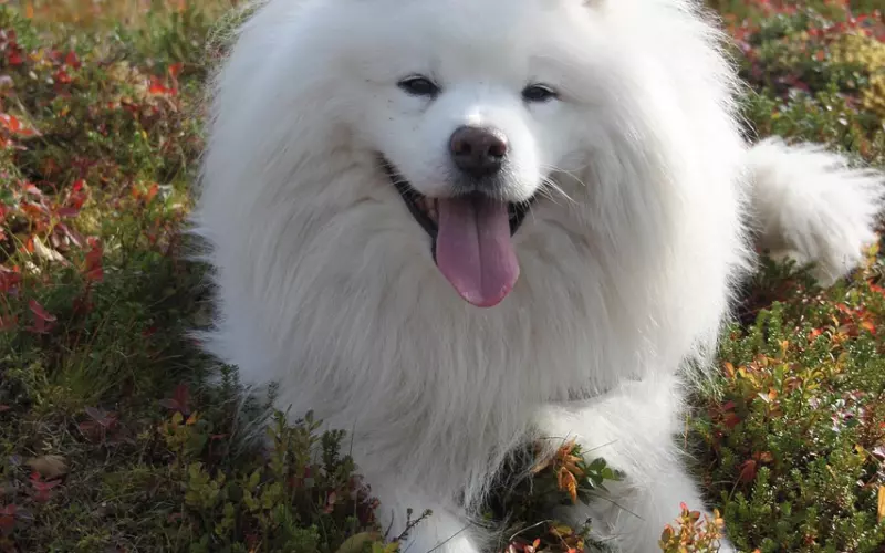 男人会精神出轨，只因为你忽视了这点！